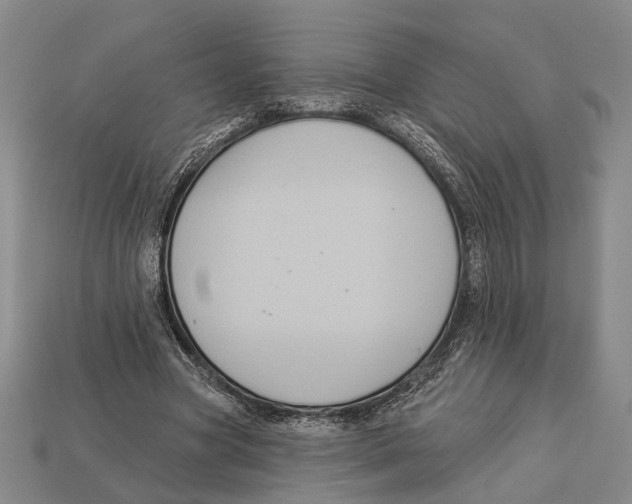 X0000112960537200909241202