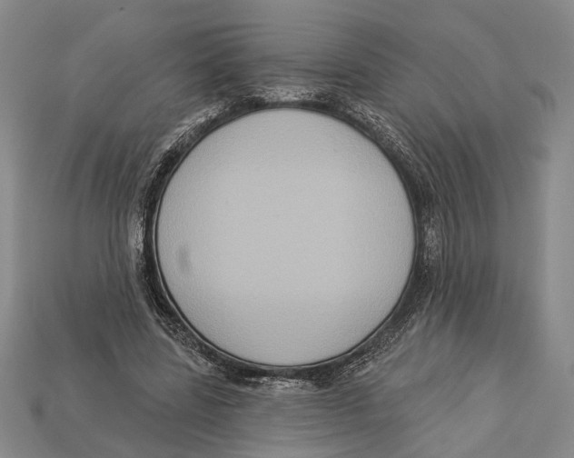 X0000112960539200909241202