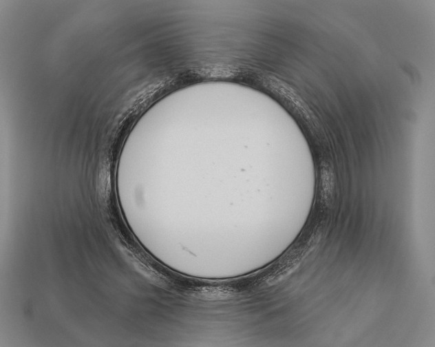 X0000112960541200909241202