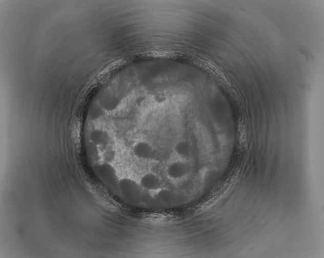 X0000112960542200909241202