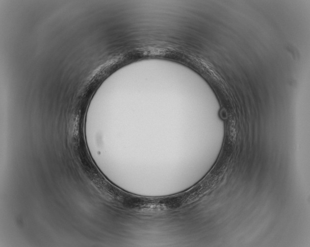 X0000112960543200909241202