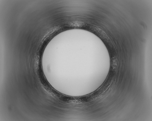 X0000112960544200909241202