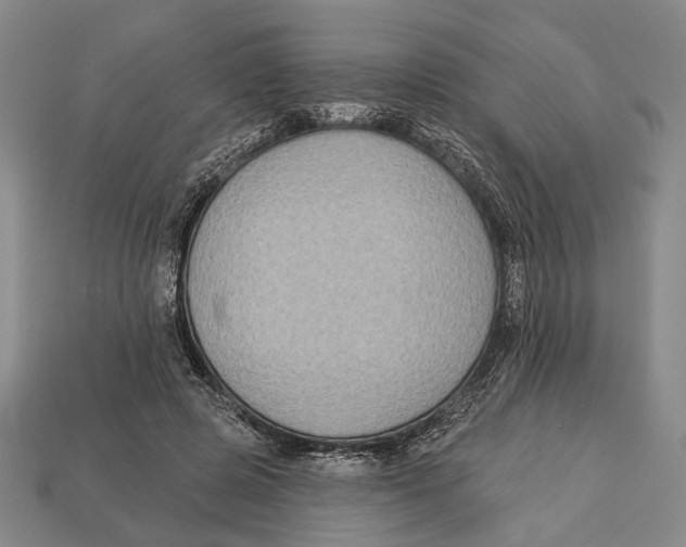 X0000112960545200909241202