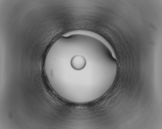 X0000112960546200909241202