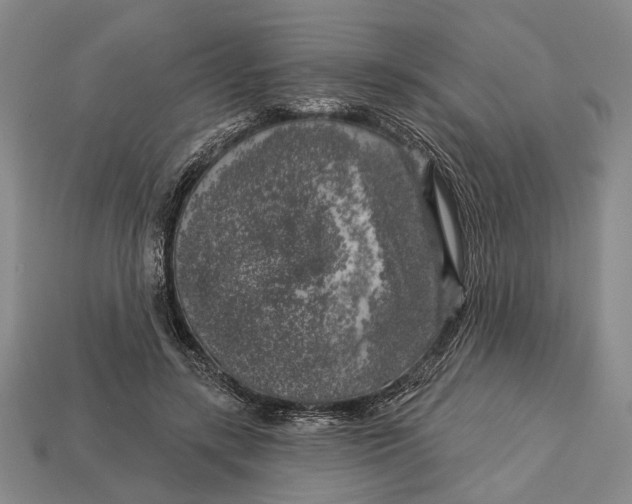 X0000112960547200909241202