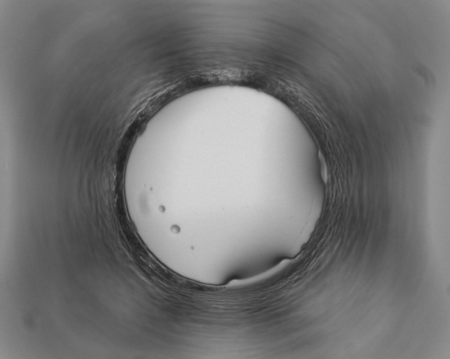 X0000112960548200909241202