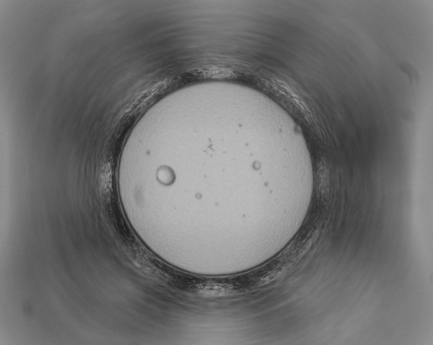 X0000112960549200909241202