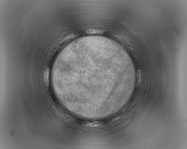 X0000112960550200909241202