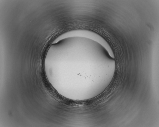 X0000112960552200909241202