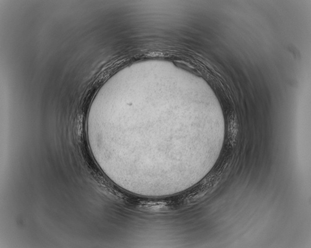 X0000112960554200909241202