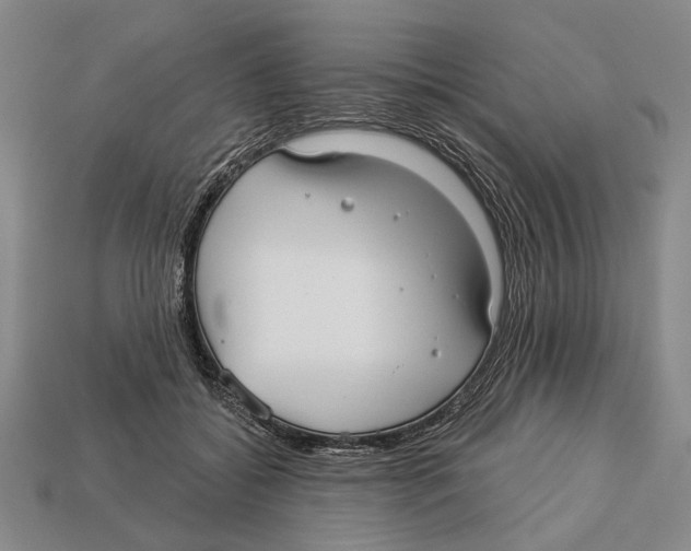 X0000112960556200909241202