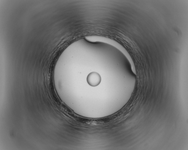 X0000112960558200909241202