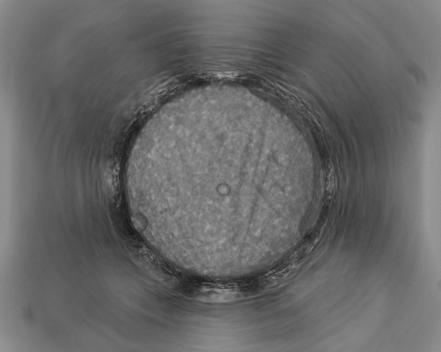 X0000112960559200909241202