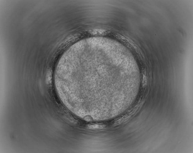 X0000112960561200909241202