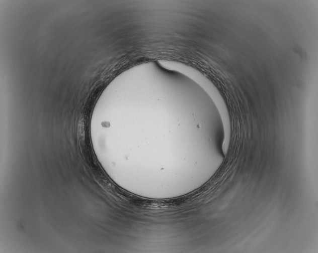 X0000112960562200909241202