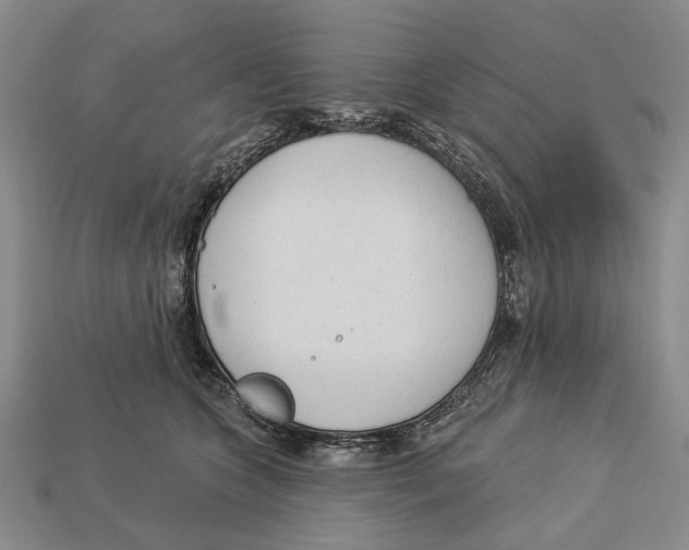 X0000112960563200909241202