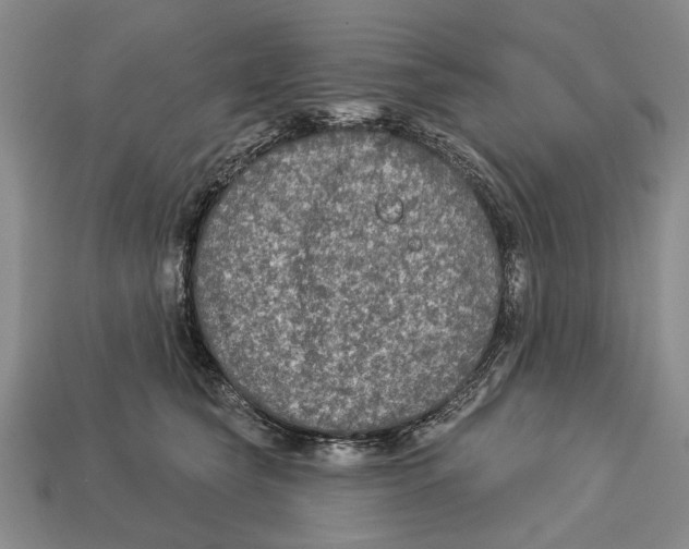 X0000112960565200909241202