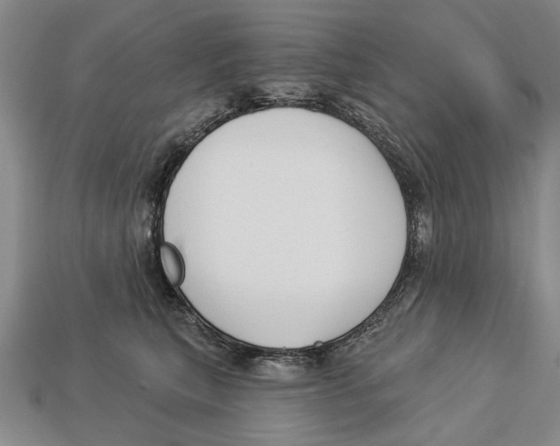 X0000112960567200909241202