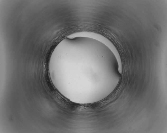 X0000112960568200909241202