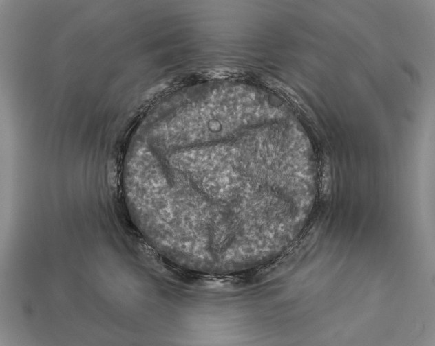 X0000112960569200909241202