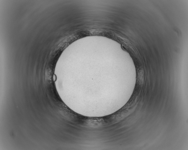 X0000112960571200909241202