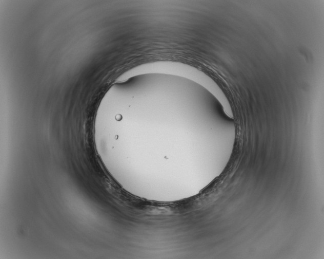 X0000112960572200909241202