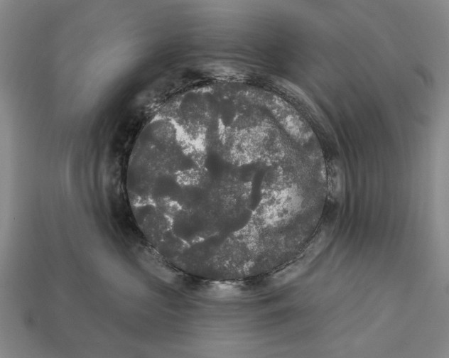 X0000112960573200909241202