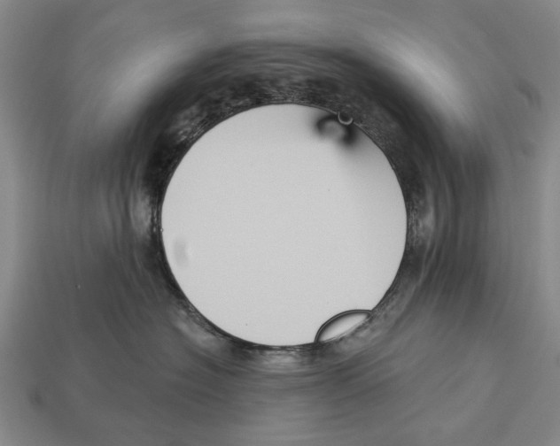 X0000112960574200909241202