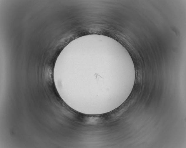 X0000112960575200909241202