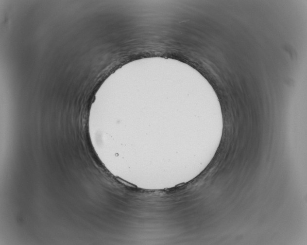 X0000112960576200909241202