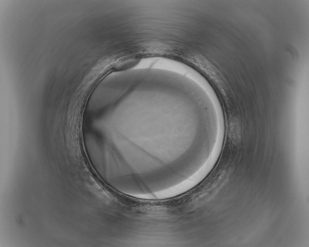 X0000112960577200909241201