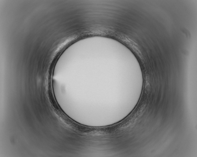 X0000112960578200909241201