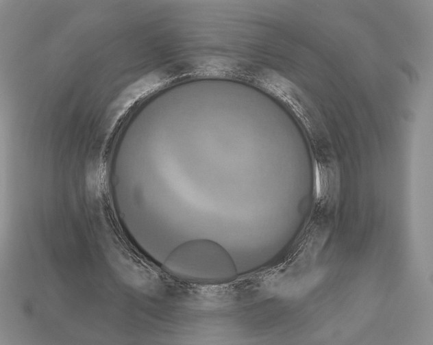 X0000112960579200909241201