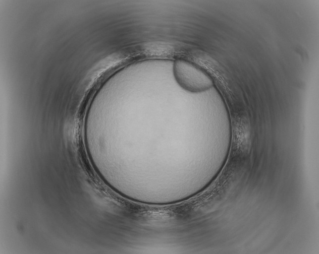 X0000112960583200909241201