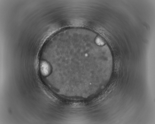 X0000112960584200909241201