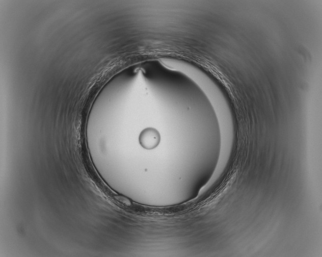 X0000112960585200909241201