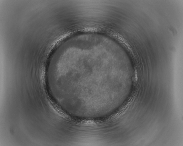 X0000112960588200909241201