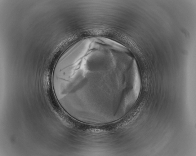 X0000112960590200909241201