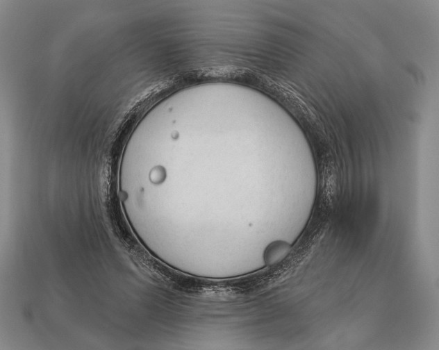 X0000112960591200909241201