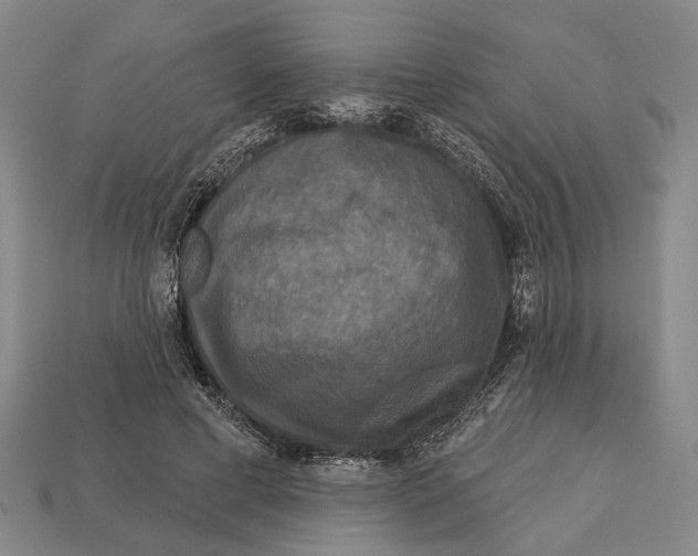 X0000112960593200909241201