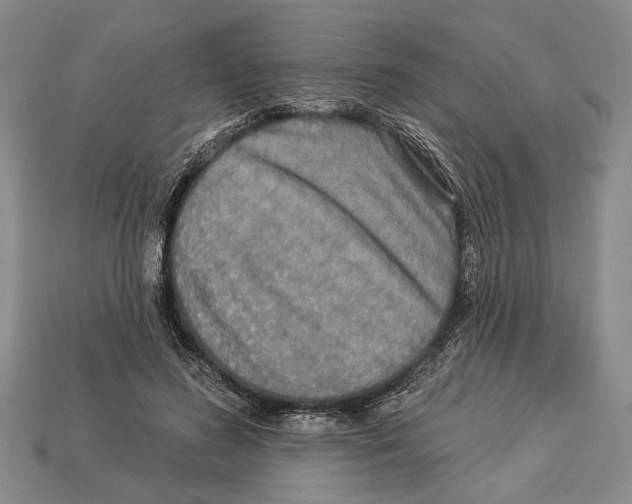 X0000112960596200909241201