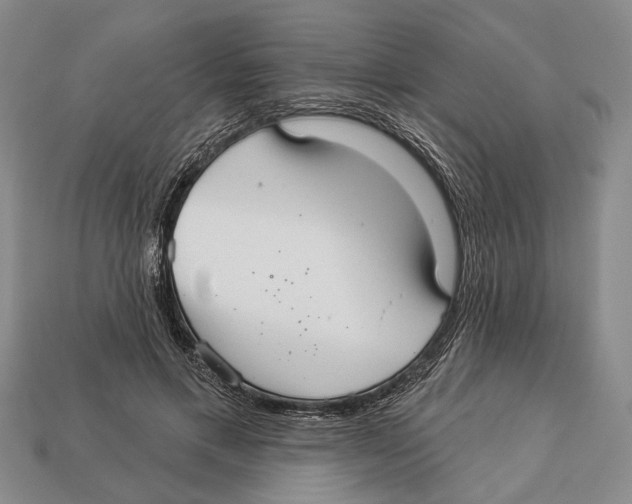 X0000112960597200909241201