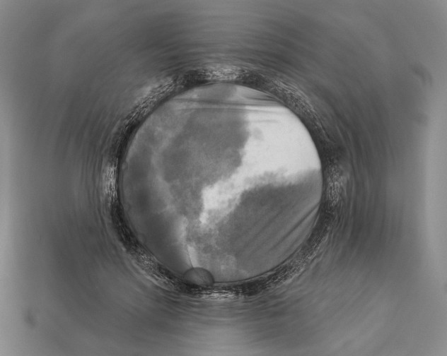 X0000112960598200909241201