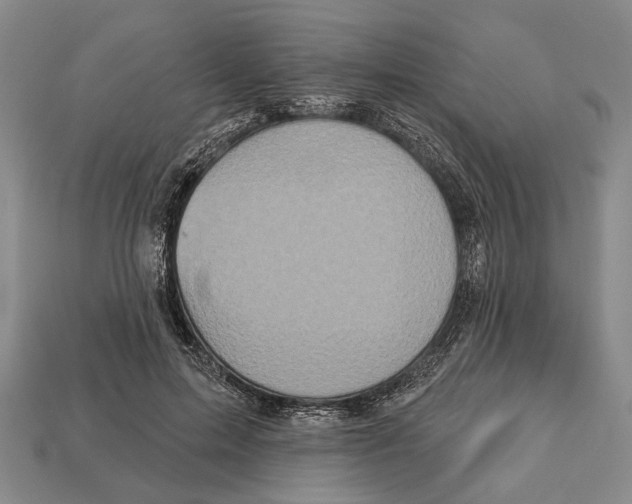 X0000112960599200909241201