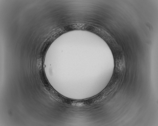 X0000112960602200909241201