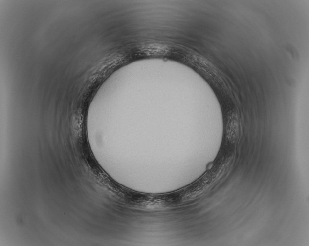 X0000112960604200909241201