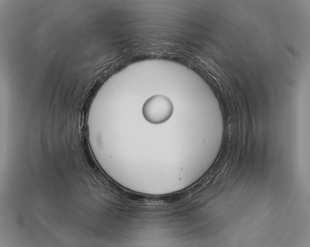 X0000112960605200909241201