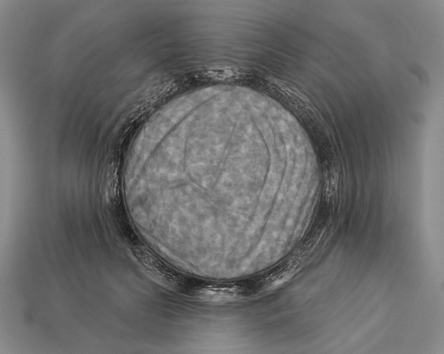 X0000112960606200909241201