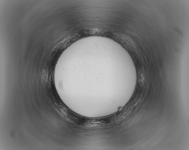 X0000112960607200909241201