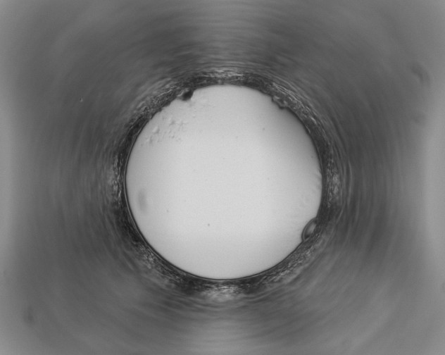 X0000112960609200909241201